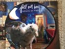 FALL OUT BOY Infinity On High LP Limited Edition Picture Disc Vinyl RARE