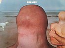TOE FAT S/T 1969 URIAH HEEP HEAVY ROCK PSYCH ORIG US PRESS LP M-/EX