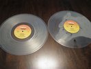 THE EVIL ONE Roky Erickson and the Aliens CLEAR VINYL 2LP album OOP Waterloo