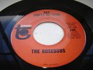 The Rosebuds Say you'll be mine on Tower Northern soul monster sound