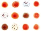 Peter Gabriel - Scratch My Back & I'll Scratch Yours [Vinyl New]