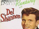 Del Shannon Runaway  33 LP  nm