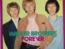 Scott Walker The Walker Brothers - Forever - Rare Japanese Double vinyl Best Of