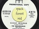 THE REMARKABLES - Easily Mislead - AUDIO ARTS -   7