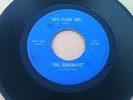 Rare Garage Rock 45 The Runaways 18th Floor Girl / Your Foolish Ways Alamo Audio