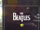 Beatles Remastered Stereo Vinyl 16 Record  Box Set - LPS Sealed