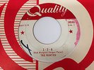1960s Canadian Garage 45 - THE HAUNTED 1-2-5 QUALITY - The Hunted