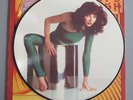 Kate Bush Kick Inside Picture Disc Vinyl LP Stickered Sleeve 1st Issue