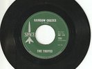 Rare Garage Rock 45 The Troyes Rainbow Chaser & Why 1966 Space Label nmint