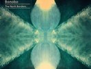 BONOBO - THE NORTH BORDERS/DELUXE 10'' BOXSET+CD 8 VINYL LP + CD NEU
