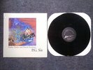 P.G. SIX Parlor Tricks and Porch Favorites LP  SIX ORGANS  WOODEN WAND  MV&EE