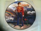 MARILLION   PICTURE DISC ALBUM   MISPLACED CHILDHOOD   MRLP 2  EX  CON