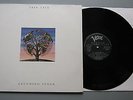Talk Talk - Laughing Stock
