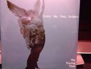 Sunny Day Real Estate 