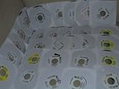 29x REGGAE DANCEHALL VP RECORDS 