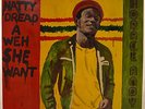 HORACE ANDY Natty Dread A Weh She Want 1978 Reggae LP on New Star
