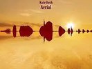 KATE BUSH - DLP - AERIAL