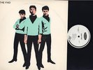 THE FAD - SELF TITLED - PUNK ROCK LP