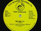 TERRI GONZALEZ How Good It Is/Caught Up 12