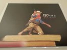 BORN RUFFIANS Red Yellow and Blue LP OOP NEW