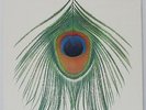 XTC - APPLE VENUS VOLUME ONE Vinyl LP 1999 UK ONLY EX NEW WAVE  RARE w/ inner