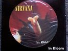 Nirvana - In Bloom 12'' Picture disc Vinyl rare full die cut sleeve Foo Fighters