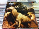 Interpol 'Our Love To Admire' 2LP on Capitol Rds.