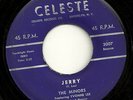 Rare Doowop Vocal Group 45  