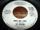 THE REMAINS - 