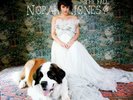 Jones,Norah - Fall (2009, Vinyl NEW)