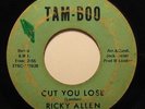 RICKY ALLEN cut you loose TAM-BOO funk 45 RARE *Listen*