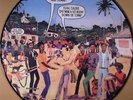 SCIENTIST Meets the Roots Radics LP NEW VINYL PIC DISC  Channel One