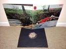 SPRING Selftitled Debut LP RCA Neon 1971 UK 1st Press