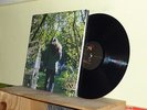 ENDLESS BOOGIE - FOCUS LEVEL - ORIGINAL US NO QUARTER 2 X LP