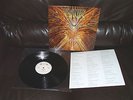 CYNIC FOCUS LP HOLLAND