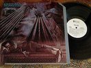 STEELY DAN 