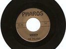 SURF GUITAR INSTRUMENTAL ROCKER- THE POLARAS- 