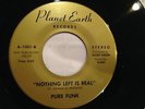 PURE FUNK - Nothing left is Real and Searching