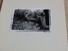 sunn O))) White Box - 4LP plus collector card.  brand new / sealed.  #165/500