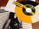 Jack White Tri Color 