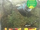 LAST CHANCE Phish 2 LP SEALED Lawn Boy 2013 RSD Deluxe Edition Number 982 MINT