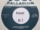 Rockabilly; The Astronauts; Come Along Baby on PALLADIUMThe Astronauts;  rare re