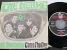 The Nerve 7