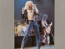 LED ZEPPELIN- RARE 2-LP- TRAMPLED UNDERFOOT- COLOURED- MINT