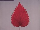 DEPECHE MODE Freelove 2001 UK 5-track promo vinyl 12