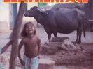 Leatherface - Minx LP