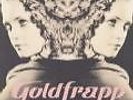 Vinyl Goldfrapp Felt Mountain Platte Schallplatte