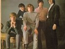 THEM/ VAN MORRISON Angry Young Them 1965 mono or. lp beat/garage