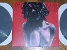 Terrifyer [LP] by Pig Destroyer (Vinyl, Oct-2004, RLP)