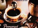 NIRVANA PENNYROYAL TEA RECORD STORE DAY 2014 7